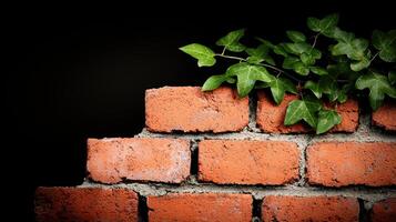 Brick Wall with Ivy Rustic Texture Nature and Construction Background photo