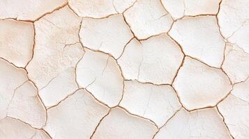 Cracked Dry Earth Texture Parched Land Surface Desert Soil Background Drought Pattern photo
