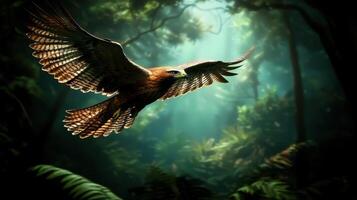 Majestic Hawk Soaring Through Lush Green Rainforest Canopy photo