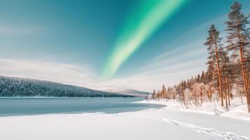 Stunning Aurora Borealis over Frozen Lake and Snow Covered Winter Forest Landscape photo