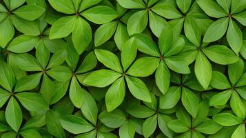 Lush Green Foliage Background Vibrant Spring Leaves Texture photo