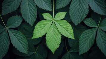 Lush Green Leaf Texture Vibrant Foliage Nature Background Close up Photography photo