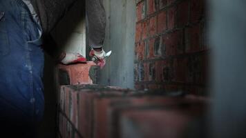 Bricklayer constructing a red brick wall with mortar video
