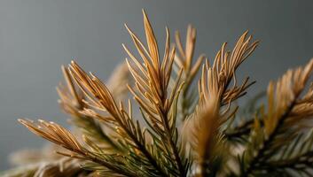 Eco-friendly paper and packaging alternatives made from pine needle fibers highlight sustainability and innovation in material use. photo