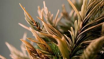 Pine needle fibers, an eco-friendly alternative, are used to create sustainable paper and packaging solutions that benefit the environment. photo