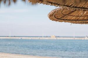 Traditional beach umbrellas made of straw standing on golden sand with a sea view. photo