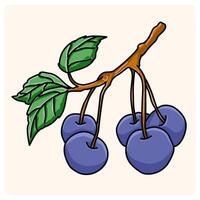 Fresh Blueberries on the Branch with doodle style drawing vector