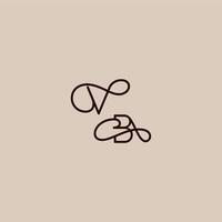 luxurious organic style and elegant concept VB wedding typography monogram letter dynamic line initial vector