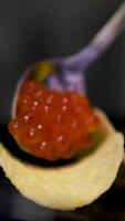 Red Caviar in a spoon background. Close-up of salmon fish roe caviar. Delicatessen. Texture of trout caviar backdrop. Shell shaped spoon full of red caviar. Seafood, rotating. video