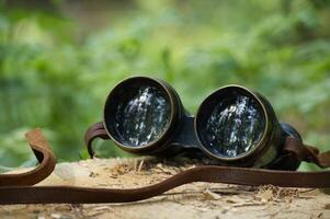 Vintage binoculars resting on tree trunk in forest reflecting trees photo