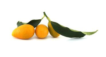 Fresh Kumquats with Green Leaves Isolated on a White Background photo
