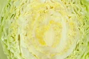 Close-Up of Fresh Green Cabbage Showing Detailed Leaf Textures photo