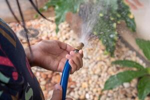 A little girl watering the plants in front of the house using a water hose photo