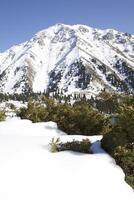A snowy mountain with a clear blue sky photo