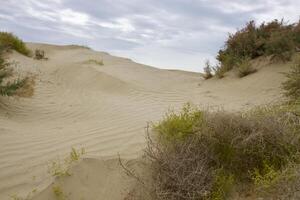 Roadless to Karaozek, Lake Balkhash. Kazakhstan. photo