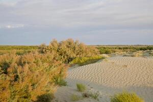 Roadless to Karaozek, Lake Balkhash. Kazakhstan. photo