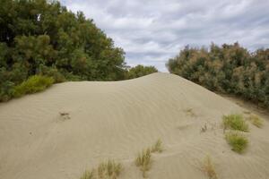 Roadless to Karaozek, Lake Balkhash. Kazakhstan. photo