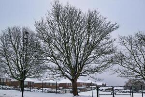 Snow-Covered Trees and Houses in Harrogate, UK. photo