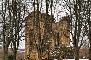 Stone Castle Ruin Viewed Through Winter Trees in Knaresborough, UK photo