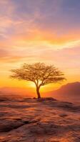 solitary tree against vibrant sunset sky photo