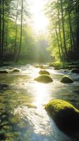 serene forest with crystal clear stream and sunlight photo
