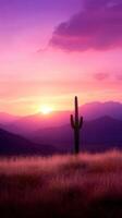 serene desert landscape with cactus at sunset photo