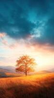 solitary tree stands in golden field at sunset photo
