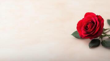 a close up of single red rose on light cream background, symbolizing love photo