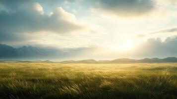 serene landscape with golden grass under cloudy sky photo