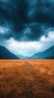 windswept moor with golden grass under dramatic sky photo