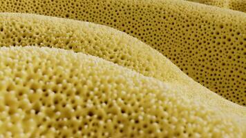 Abstract wave background with soft sponge texture effect, warm yellow tones and natural porous patterns, rendered in 3d video