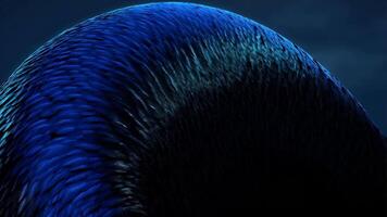 Abstract flowing wave with bold raven feather texture, featuring deep black tones and a subtle blue sheen for a mysterious, elegant effect video