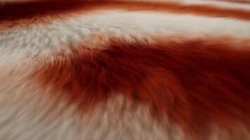 Abstract flowing wave with fluffy fox fur texture, featuring reddish-orange tones and soft white accents for a natural and cozy look video