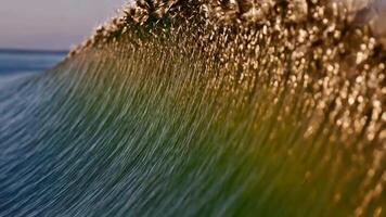 Abstract flowing wave with shimmering mallard duck feather texture, featuring deep green and blue tones with bronze undertones for a natural, vibrant effect video