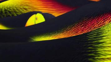 Abstract flowing wave with toucan feather texture, featuring jet black tones with neon yellow and orange highlights for a bold, tropical effect video