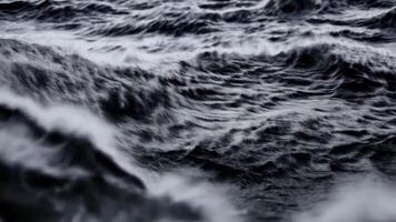 Abstract flowing wave with fluffy penguin feather texture, featuring black and white tones and a velvety, soft appearance for a natural, elegant effect video