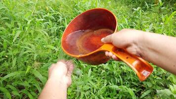 Taking water from a bucket using a dipper held in the middle of the green grass video