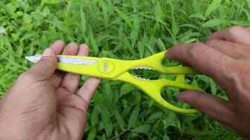 A man holds and displays a pair of scissors with green plastic handles against a grassy background video
