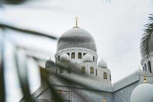 Sheikh Zayed Grand Mosque Dome Architecture Surrounded by Palm Leaves on Cloudy Day photo