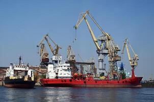 Working cranes in the port city on a shunny day photo