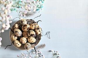 A blank card, inviting you to write your own springtime message, is nestled amidst a delicate arrangement of white flowers and speckled quail eggs. photo