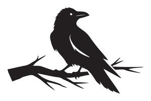Raven Perched on Branch Silhouette Illustration vector