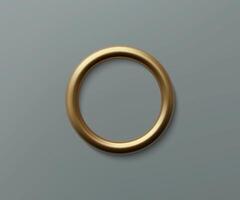 Shiny Gold Ring Minimalist Design vector