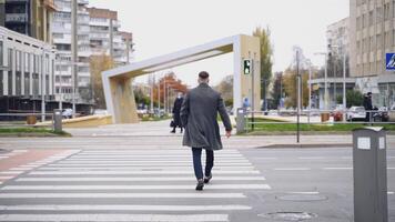 Backside view of a young man in the city. Back of a man in warm coat crossing the road on the green light of the traffic lights. Slow motion. video