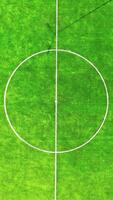 Empty soccer field. Green field of a new football stadium. Camera rising up. View from the center of the football pitch. Vertical video