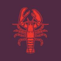 Fierce red lobster with sharp claws vector