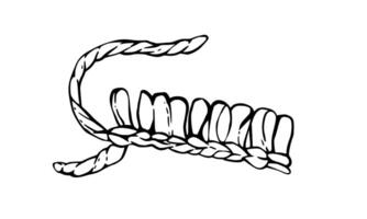 Knitted or crocheted hobby items. Hand knit element. Hand drawing black and white line art illustration for handmade, hobby Knitting handicraft product design, label isolated from background vector