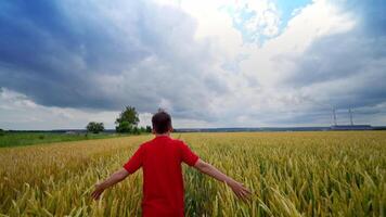 Happy boy in agriculture field. Teenager in red t-shirt runs joyfully on a wheat field against cloudy sky in summer. View from back. video