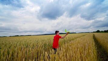 Boy launching toy plane in the field. Teenager runs with plane on yellow field under blue sky. Happy child playing in summer nature. video