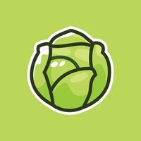 Fresh Green Cabbage Illustration on Green Background. Hand Drawn Isolated Illustration vector
